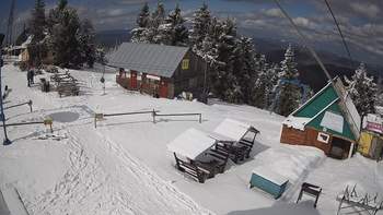 Тростян 14 березня 2020 року, 2020-03-14 13:00