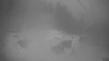 Тростян 25 квітня 2020 року, 2020-04-25 16:00