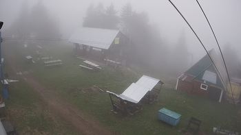 Тростян 15 травня 2020 року, 2020-05-15 16:00
