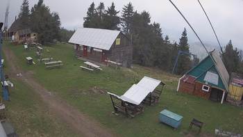 Тростян 18 травня 2020 року, 2020-05-18 10:00