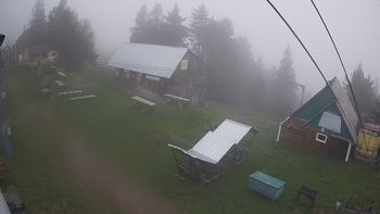 Тростян 26 травня 2020 року, 2020-05-26 10:00