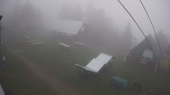 Тростян 30 травня 2020 року, 2020-05-30 16:00