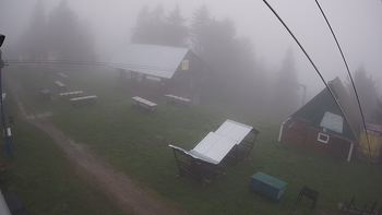Тростян 4 червня 2020 року, 2020-06-04 16:00