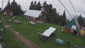 Тростян 10 червня 2020 року, 2020-06-10 13:00