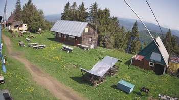 Тростян 11 червня 2020 року, 2020-06-11 10:00