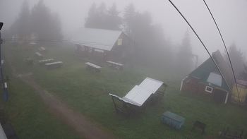 Тростян 14 червня 2020 року, 2020-06-14 10:00