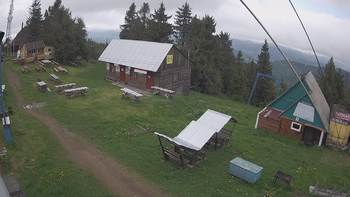 Тростян 15 червня 2020 року, 2020-06-15 13:00