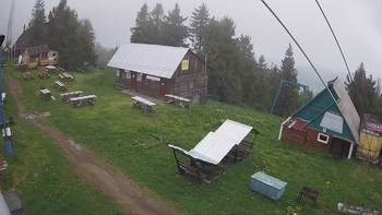 Тростян 17 червня 2020 року, 2020-06-17 13:00