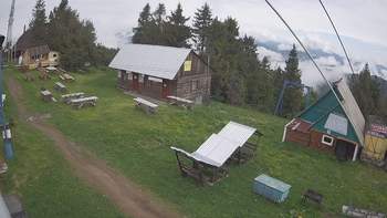 Тростян 18 червня 2020 року, 2020-06-18 10:00