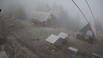 Тростян 15 грудня 2020 року, 2020-12-15 10:00