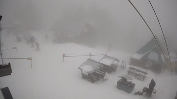 Тростян 14 березня 2021 року, 2021-03-14 13:00