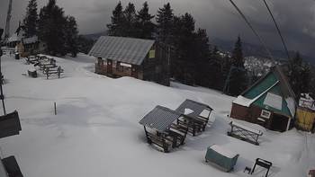 Тростян 7 квітня 2021 року, 2021-04-07 16:00