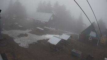 Тростян 7 травня 2021 року, 2021-05-07 13:00