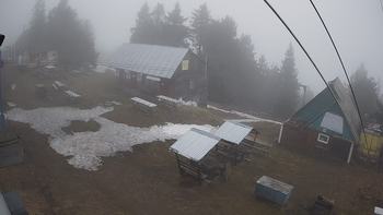 Тростян 7 травня 2021 року, 2021-05-07 16:00