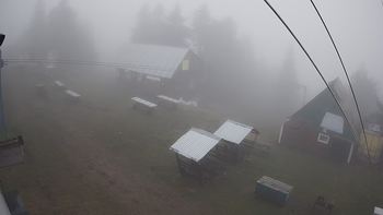 Тростян 15 травня 2021 року, 2021-05-15 10:00