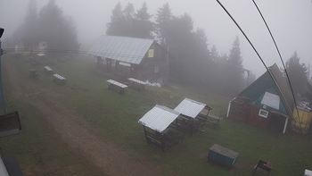 Тростян 19 травня 2021 року, 2021-05-19 10:00