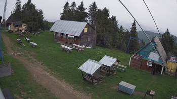 Тростян 5 червня 2021 року, 2021-06-05 10:00