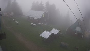 Тростян 14 червня 2021 року, 2021-06-14 10:00