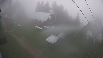 Тростян 14 червня 2021 року, 2021-06-14 16:00