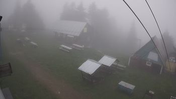 Тростян 15 червня 2021 року, 2021-06-15 10:00
