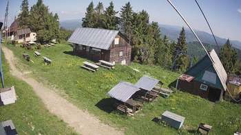 Тростян 22 червня 2021 року, 2021-06-22 10:00