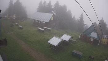 Тростян 4 липня 2021 року, 2021-07-04 10:00