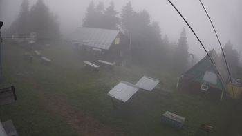 Тростян 4 липня 2021 року, 2021-07-04 13:00