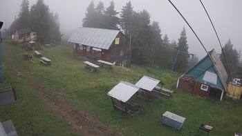 Тростян 4 липня 2021 року, 2021-07-04 16:00