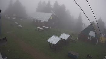 Тростян 6 серпня 2021 року, 2021-08-06 10:00
