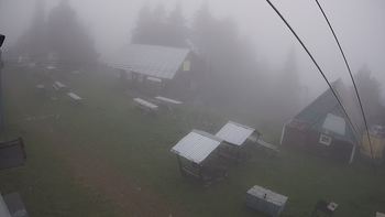 Тростян 25 серпня 2021 року, 2021-08-25 16:00