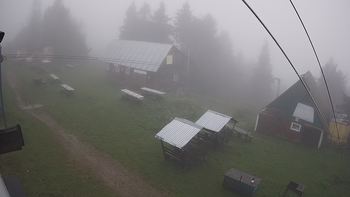Тростян 30 серпня 2021 року, 2021-08-30 16:00
