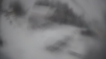 Тростян 13 грудня 2022 року, 2022-12-13 10:00