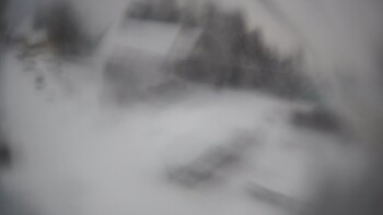 Тростян 13 грудня 2022 року, 2022-12-13 13:00