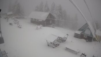 Тростян 17 січня 2023 року, 2023-01-17 13:00