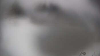 Тростян 4 квітня 2023 року, 2023-04-04 10:00