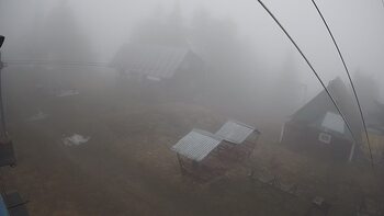 Тростян 25 квітня 2023 року, 2023-04-25 10:00