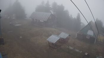 Тростян 25 квітня 2023 року, 2023-04-25 16:00
