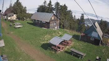 Тростян 19 травня 2023 року, 2023-05-19 10:00
