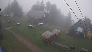 Тростян 24 квітня 2024 року, 2024-04-24 16:00
