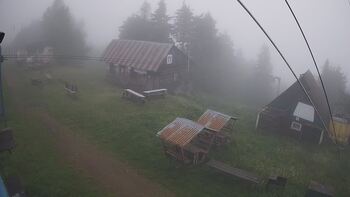 Тростян 1 червня 2024 року, 2024-06-01 10:00