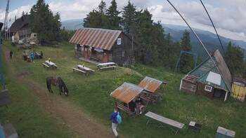 Тростян 1 червня 2024 року, 2024-06-01 13:00