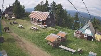 Тростян 1 червня 2024 року, 2024-06-01 16:00