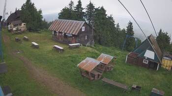 Тростян 2 червня 2024 року, 2024-06-02 10:00