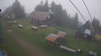 Тростян 5 червня 2024 року, 2024-06-05 10:00