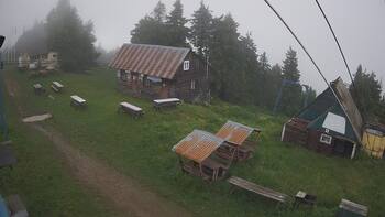 Тростян 10 червня 2024 року, 2024-06-10 16:00