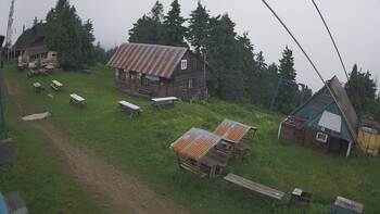 Тростян 11 червня 2024 року, 2024-06-11 10:00