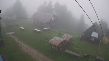 Тростян 11 червня 2024 року, 2024-06-11 16:00