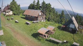 Тростян 12 червня 2024 року, 2024-06-12 10:00