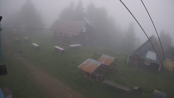 Тростян 13 червня 2024 року, 2024-06-13 10:00