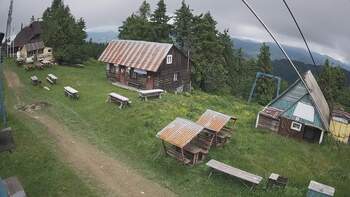 Тростян 13 червня 2024 року, 2024-06-13 13:00